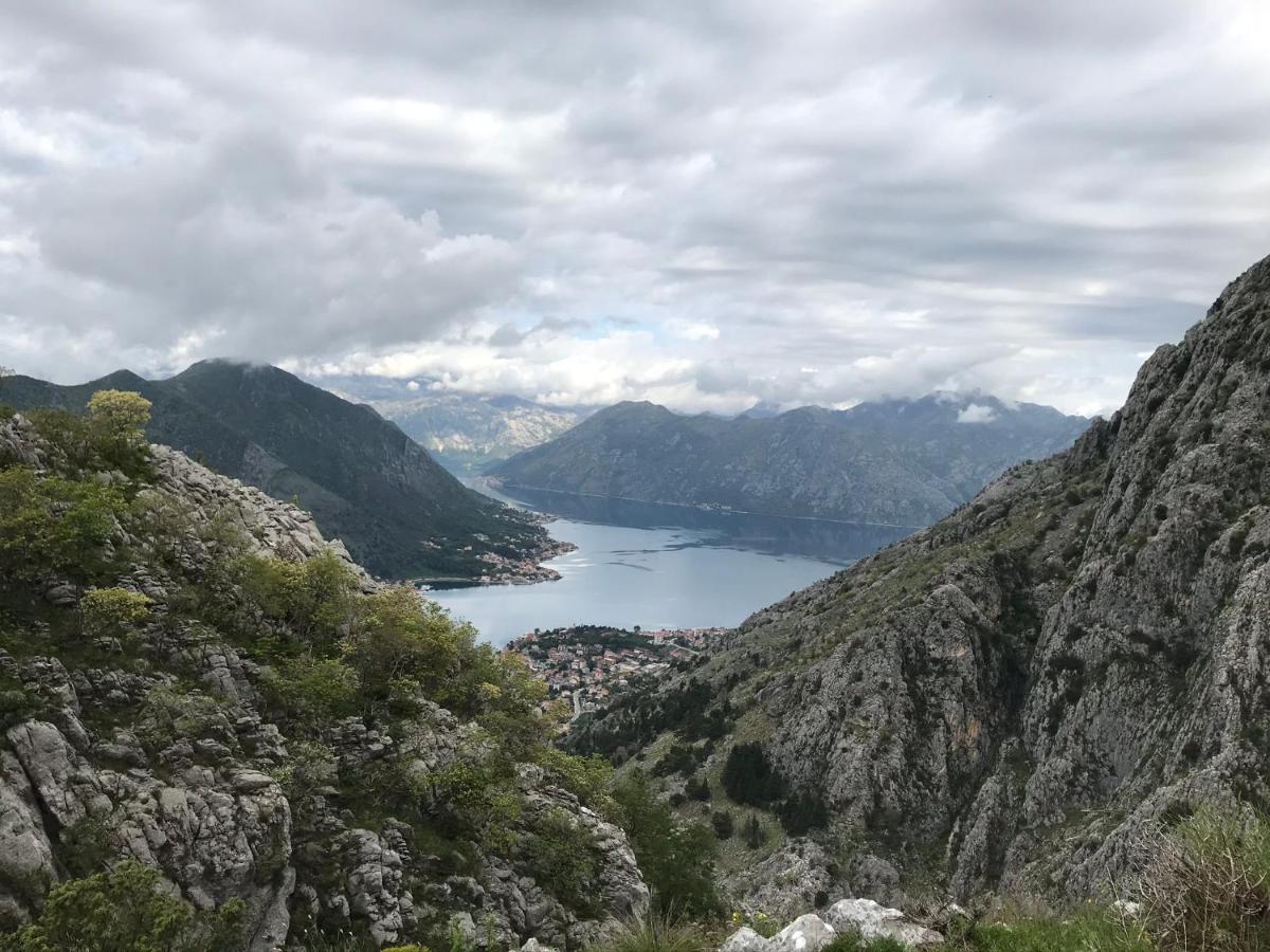 Romantic Rooftop View Hideaway- Old Town Nr 404 Kotor Exteriör bild