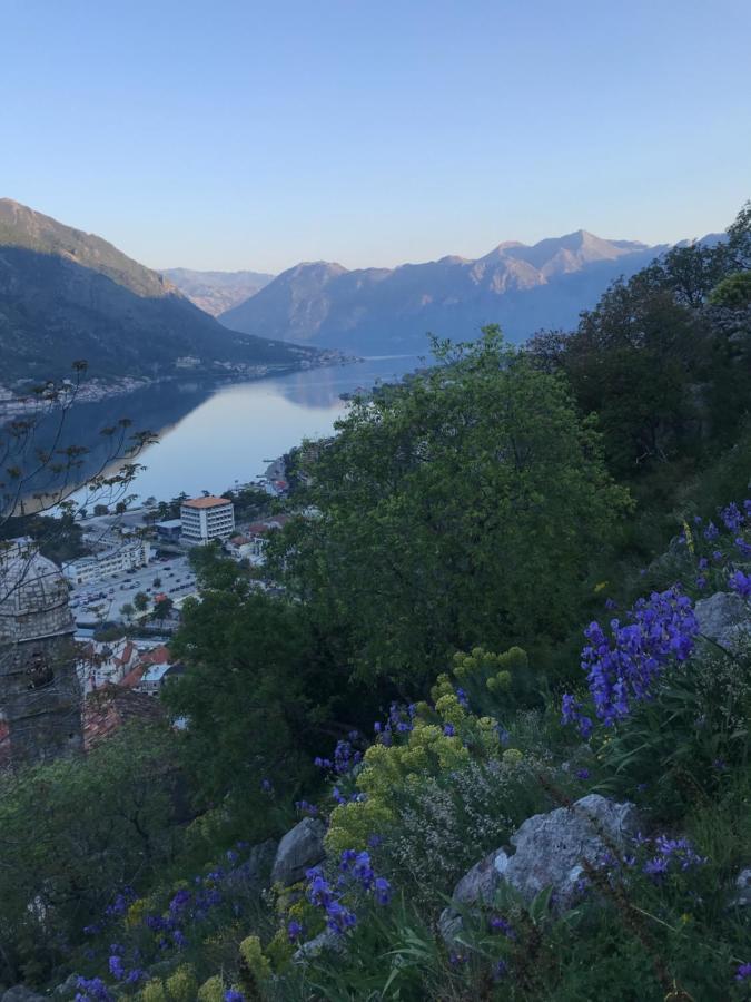 Romantic Rooftop View Hideaway- Old Town Nr 404 Kotor Exteriör bild